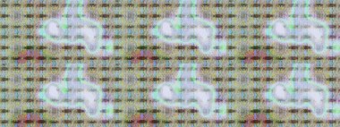 Soyut etnik raster çizim kalıbı. Vadinin çiçekleri tarafsız ve gri renklerde. Çiçekler..