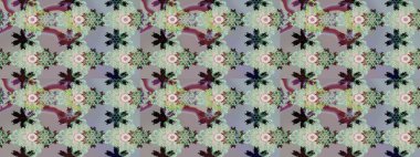 Güzel kumaş deseni. Güzel suluboya yaz çiçekleri deseni..