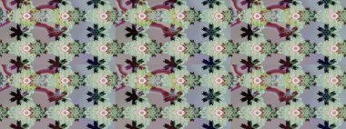 Güzel kumaş deseni. Güzel suluboya yaz çiçekleri deseni..