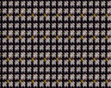 Raster düz çiçek çizim deseni. Siyah ve nötr renklerde çiçekler. Tasarım hediye paketi, tebrik kartları, posterler ve afiş tasarımı.