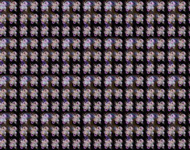 Siyah ve kahverengi renkler üzerine çiçek desenli eskiz, el yapımı papatyalar, papatyalar. Tekrarlayan çiçek arkaplanı, zarif siyah ve kahverengi çiçek duvar kağıdı.