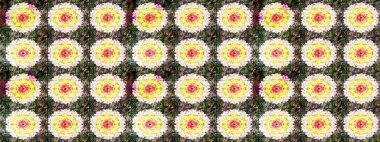 Raster illüstrasyonundaki çiçek desenli çizim. Çiçekler suluboya stilinde sarı ve nötr renklerde.