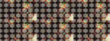 Yaz çiçekleri teması. Klasik çiçekler. El çizimi, soyut ve süslü elementler. Siyah ve nötr renkler. Suluboya resim taklit Raster illüstrasyonu.