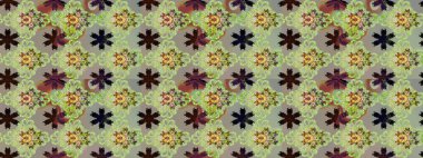 Büyük bir çiçek boyası seti. Kartlar, davetiyeler, tarih kartları ve daha fazlası için kullanılabilir. Raster şirin suluboya çiçek deseni çizimi.