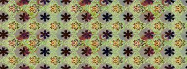 Büyük bir çiçek boyası seti. Kartlar, davetiyeler, tarih kartları ve daha fazlası için kullanılabilir. Raster şirin suluboya çiçek deseni çizimi.