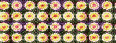 Raster illüstrasyonu. Küçük çiçekteki sevimli çiçek deseni. Sarı ve nötr renkte çiçekler.