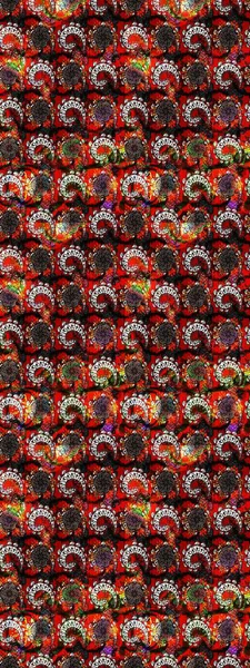 El yapımı çiçek ve bitki koleksiyonu. Eskiz tarzı siyah ve kırmızı renkler. Raster illüstrasyonu. Raster illüstrasyonu. Şirin karalamalı çiçek deseni çiz..