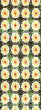 Sabıka fotoğraflarında, bebek kıyafetlerinde, duvar kâğıtlarında, paket kutularında falan kullanılabilir. Zarif, parlak ve eskiz yeşil ve nötr çiçek desenli tasarım. Raster..