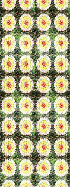 Sabıka fotoğraflarında, bebek kıyafetlerinde, duvar kâğıtlarında, paket kutularında falan kullanılabilir. Zarif, parlak ve eskiz yeşil ve nötr çiçek desenli tasarım. Raster..