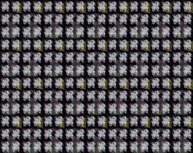 Siyah ve nötr renklerde çiçekler. Raster illüstrasyonunda çiçek deseni çizimi.