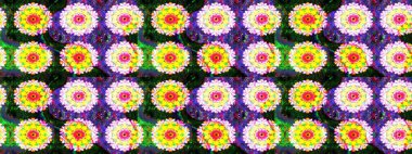 Etnik Mandala havlusu. Tebrik kartı geçmişi, boyama kitabı, arkaplan ve tekstil için kullanılabilir. Taslak süsleme izi. Sınır Kızılderili çiçekli paisley patten. Raster Henna tarzı.