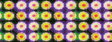 Etnik Mandala havlusu. Tebrik kartı geçmişi, boyama kitabı, arkaplan ve tekstil için kullanılabilir. Taslak süsleme izi. Sınır Kızılderili çiçekli paisley patten. Raster Henna tarzı.