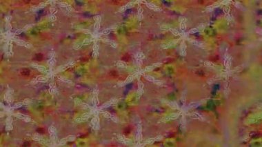 Renkli unsurlarla hareketli arka plan görüntüleri. Çiçekler. Eski model. Bayrak tarzı. Video kaydı. Şablon. Döngü. Kusursuz.. 