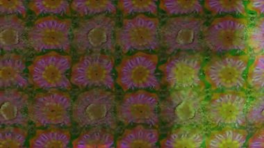 Renkli unsurlarla hareketli arka plan görüntüleri. Çiçekler. Eski model. Bayrak tarzı. Video kaydı. Şablon. Döngü. Kusursuz.. 