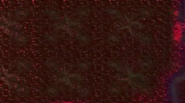 Renkli unsurlarla hareketli arka plan görüntüleri. Çiçekler. Eski model. Bayrak tarzı. Video kaydı. Şablon. Döngü. Kusursuz.. 