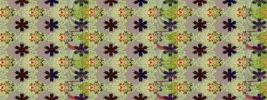 Düz Çiçek Elementleri Tasarımı. Renkli Bahar Teması eskiz kalıbı. Raster illüstrasyonu. Gri ve nötr renklerde zarif çiçekli suluboya.