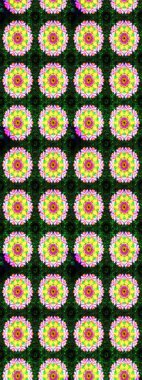 Raster illüstrasyonu. El çizimi. Çiçekli, yapraklı, çiçek desenli çizim..