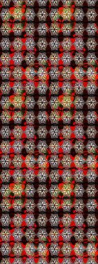 Raster illüstrasyonu. Yumuşak, bahar çiçekleri siyah ve kahverengi renklerde. Çiçek ve yapraklı karalama şeklinde Raster çiçek deseni.