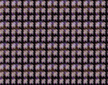 Taslak dekoratif arka plan, çiçek mandala. Raster illüstrasyonu. Çiçek. Siyah ve kahverengi renklerde.