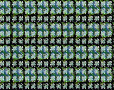 Suluboya çiçekli çiçek deseni. Yeşil ve siyah renkli güzel bir tekstil. Raster illüstrasyonu.