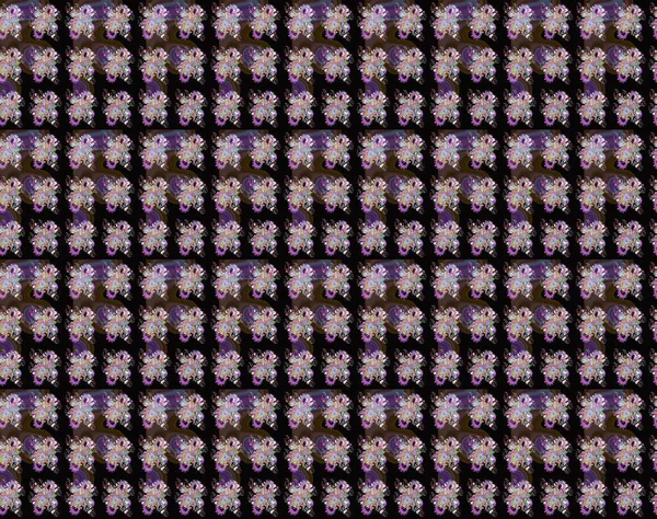 Taslak dekoratif arka plan, çiçek mandala. Raster illüstrasyonu. Çiçek. Siyah ve kahverengi renklerde.