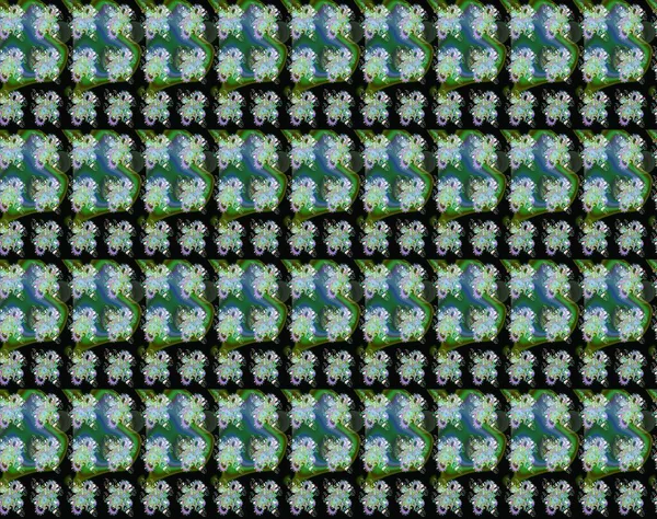 Suluboya çiçekli çiçek deseni. Yeşil ve siyah renkli güzel bir tekstil. Raster illüstrasyonu.