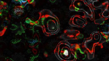 Moda baskıları için zarif bir şablon. Halk tarzı. Modern çiçek arkaplanı. Parlak renkli çiçekleri ve siyah ve gri renkte yaprakları olan muhteşem bir çiçek deseni..