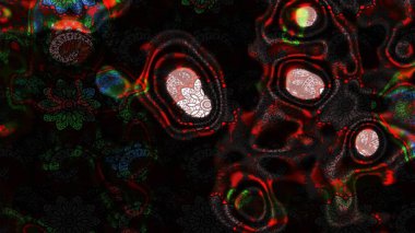 Yumuşak, bahar çiçekli arka plan. Gri ve siyah renkli çiçekler. Raster çiçek desenli ve çiçekli..