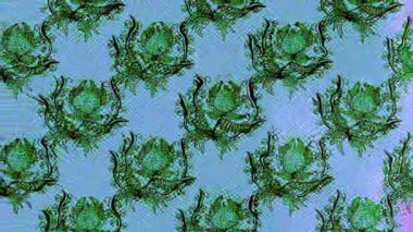 Renkli unsurlarla hareketli arka plan görüntüleri. Çiçekler. Eski model. Bayrak tarzı. Video kaydı. Şablon. Döngü. Kusursuz..