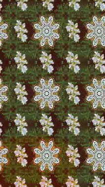 Renkli unsurlarla hareketli arka plan görüntüleri. Çiçekler. Eski model. Bayrak tarzı. Video kaydı. Şablon. Döngü. Kusursuz..