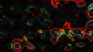 Nazik romantik baskı. Raster güzel bir çiçek deseni çizmiş. Bahar mevsimi. Tatil havası..