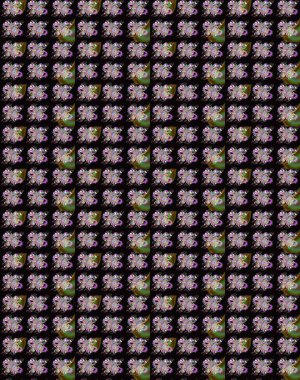 Çiçekli çiçek deseni, suluboya. Raster deseni. Küçük çiçekte güzel bir çiçek deseni..