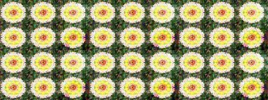 Raster illüstrasyonu. Güzel karalamalı çiçek desenli çizim. Küçük çiçekteki sevimli çiçek deseni. Güzel kumaş deseni.