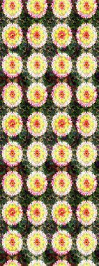 Üzerinde gelincikler ve vadi zambakları olan renkli çiçek desenli nakış deseni. Tekstil tasarımı için sarı ve yeşil renkli geleneksel halk çiçekleri..