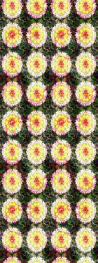 Üzerinde gelincikler ve vadi zambakları olan renkli çiçek desenli nakış deseni. Tekstil tasarımı için sarı ve yeşil renkli geleneksel halk çiçekleri..