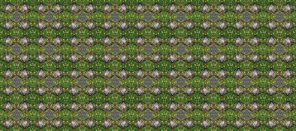 Raster altın desen. Doğulu stil, altın elementli gri, yeşil ve kahverengi renklerde altın desenli arabesk yapar. Kusursuz kıvırcık saçlar..