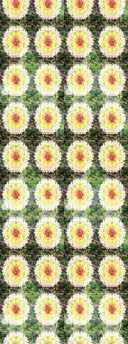 Üzerinde gelincikler ve vadi zambakları olan renkli çiçek desenli nakış deseni. Raster geleneksel çiçek buketi yeşil ve nötr renklerde tekstil tasarımı için.