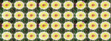 Raster illüstrasyonu. Küçük çiçekteki sevimli çiçek deseni. Güzel karalamalı çiçek desenli çizim. Güzel kumaş deseni.