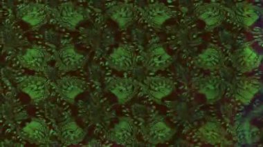 Renkli unsurlarla hareketli arka plan görüntüleri. Çiçekler. Eski model. Bayrak tarzı. Video kaydı. Şablon. Döngü. Kusursuz..