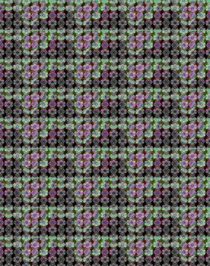 Şirin karalamalı çiçek desenli çizim. Eskiz stilinde nötr ve siyah renkler. Raster illüstrasyonu. El yapımı çiçek ve bitki koleksiyonu. Raster illüstrasyonu.