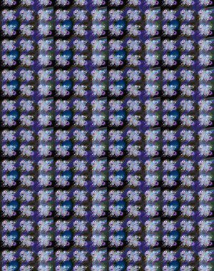 Mor ve mavi renkte çiçekler. Küçük çiçekte sevimli çiçek deseni var..