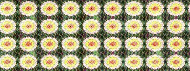 El çizimi, soyut ve süslü elementler. Yeşil ve sarı renkler. Suluboya resim taklit Raster çizimi. Yaz çiçekleri teması. Klasik çiçekler..