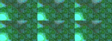 Suluboya etkisi. Botanik çizim kalıbı. Organik elementler. Raster deseni.