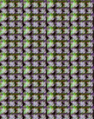 Yeşil ve gri renkli çiçekler. Düz Çiçek Elementleri Tasarımı. Sevimli çiçek raster deseni. Renk Bahar Teması eskiz şablonu.