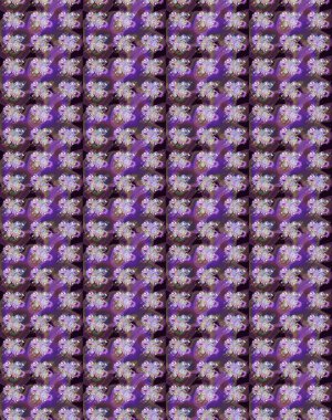 Hediye ambalaj kağıdı, tebrik kartları, posterler ve pankart tasarımı. Mor ve mor renkli çiçekler. Raster düz çiçek çizim deseni.