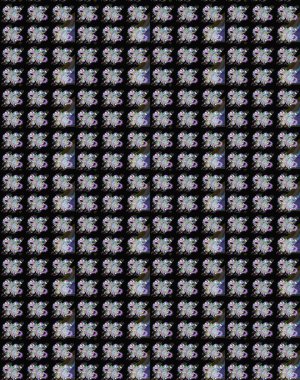 Çiçekler. Vadinin çiçekleri siyah ve nötr renklerde. Soyut etnik raster pürüzsüz desen.