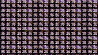 Siyah renkli çiçekler. Çiçekli çizim şekli. Düz Çiçek Elementleri Tasarımı. Renkli Bahar Teması çizim şablonu.