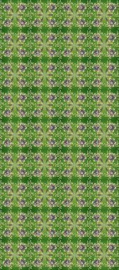 Barok tarzında kusursuz bir doğulu süsü. Tarafsız, bej ve yeşil renklerde geleneksel, klasik, altın, pürüzsüz desen.