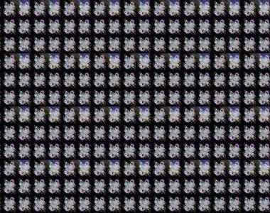 Çiçekler. Vadinin çiçekleri siyah ve nötr renklerde. Soyut etnik raster pürüzsüz desen.