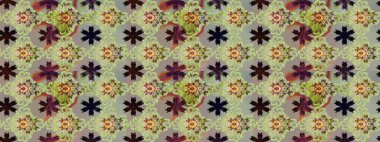 Botanik seamless modeli. Organik öğeleri. Suluboya efekti. Raster desen.